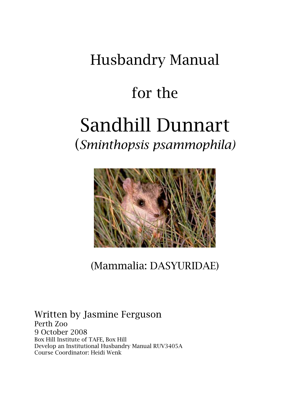 Sandhill Dunnart (Sminthopsis Psammophila)