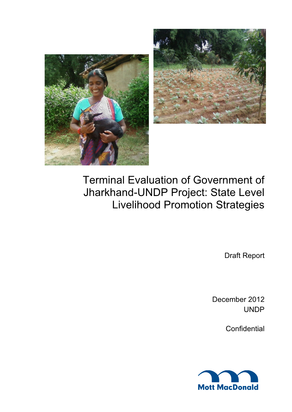 Terminal Evaluation of Government of Jharkhand-UNDP Project: State Level Livelihood Promotion Strategies