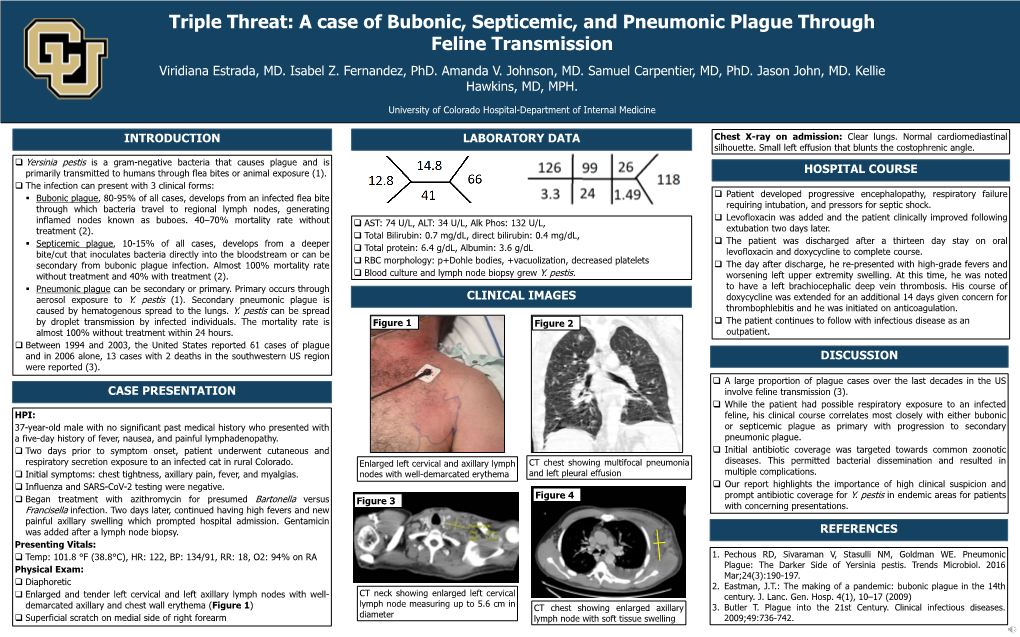 Triple Threat: a Case of Bubonic, Septicemic, and Pneumonic Plague Through Feline Transmission