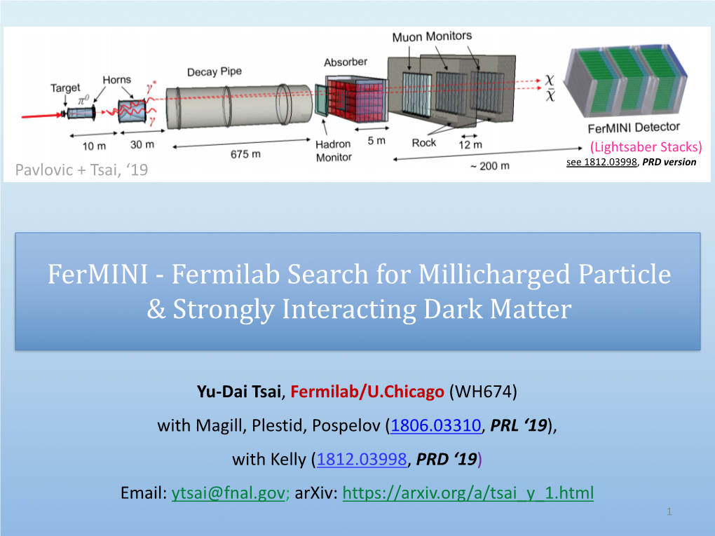 Fermini - Fermilab Search for Millicharged Particle & Strongly Interacting Dark Matter
