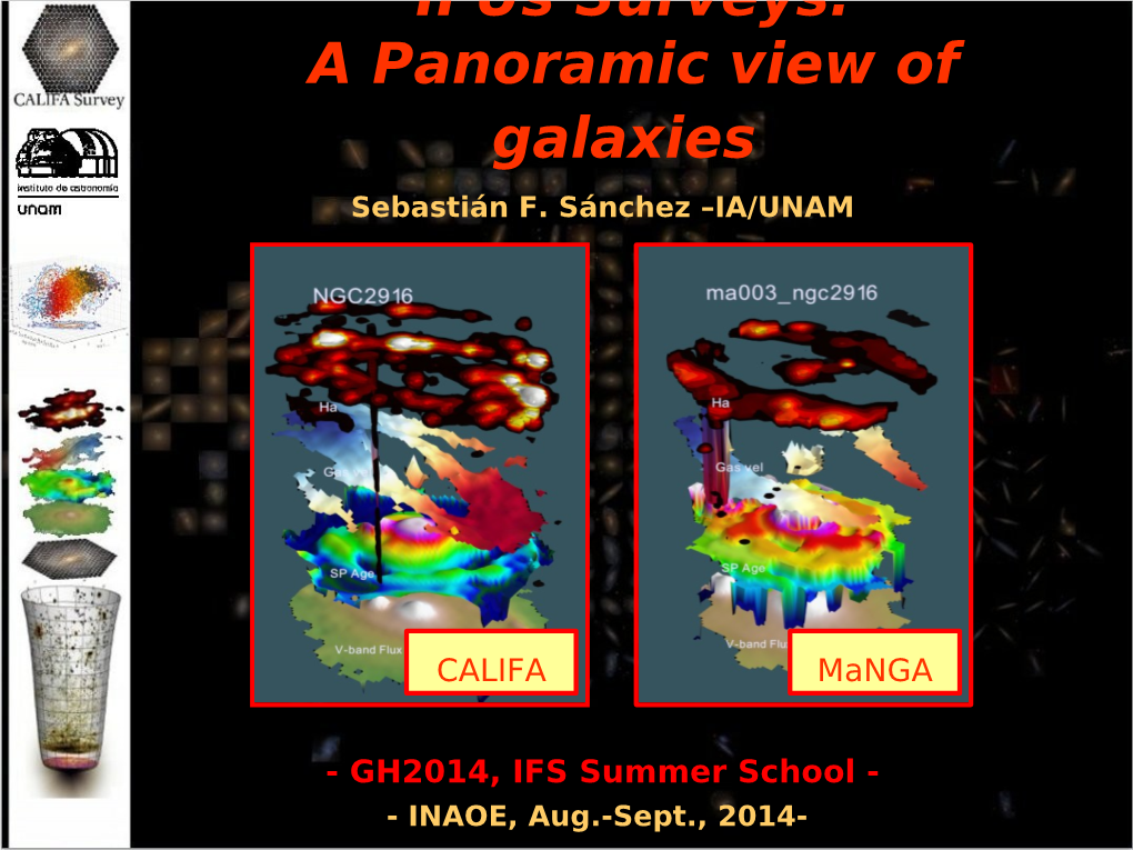 A Panoramic View of Galaxies Sebastián F