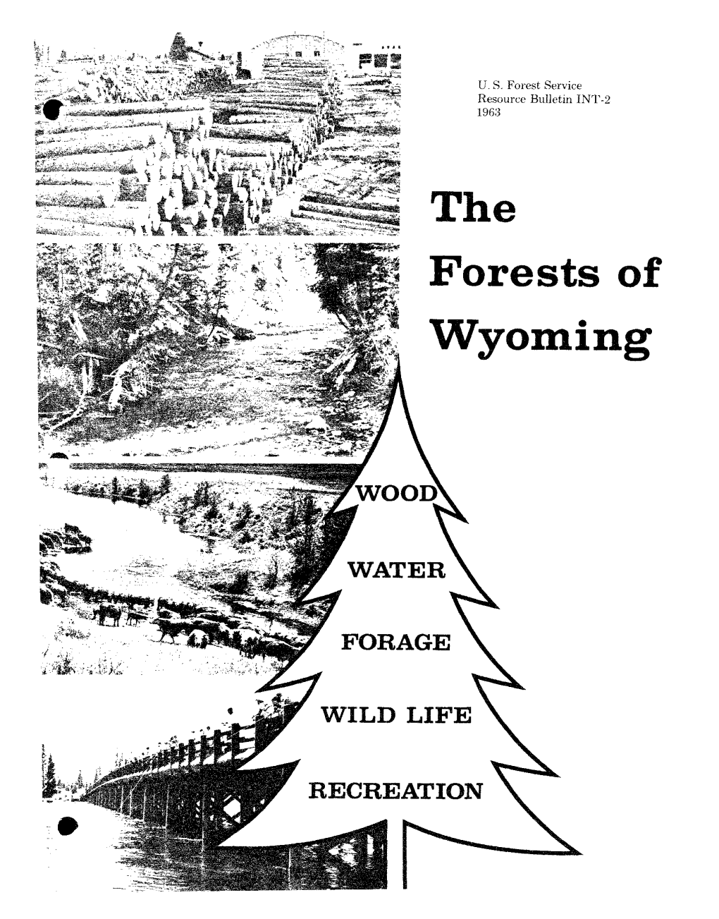 Forests of Wyoming