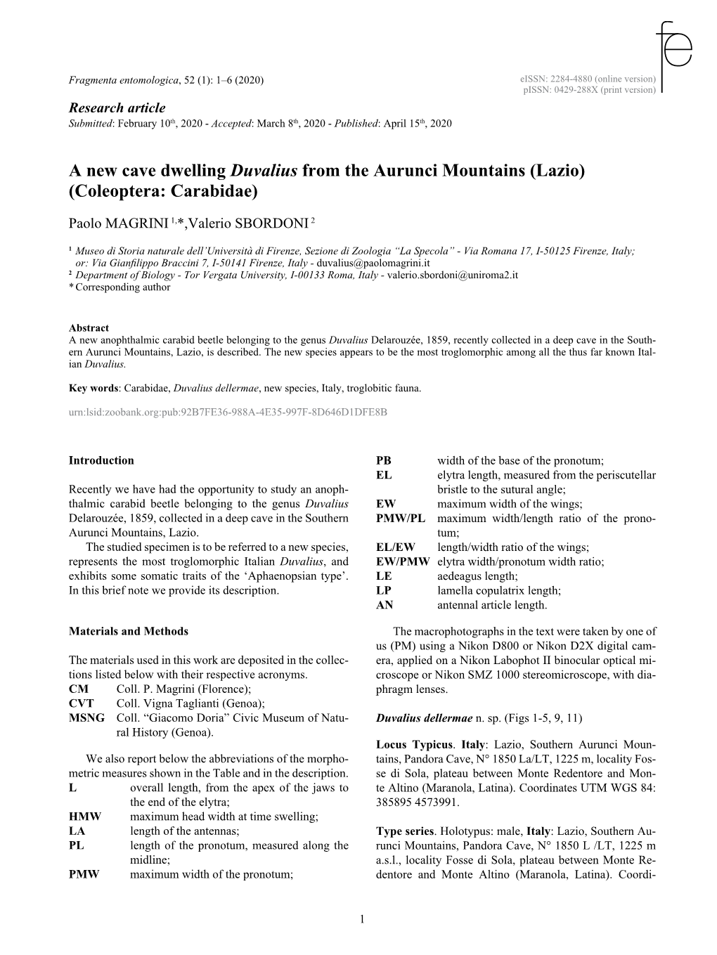 Magrini-Sbordoni 202 a New Cave Dwelling Duvalius from the Aurunci