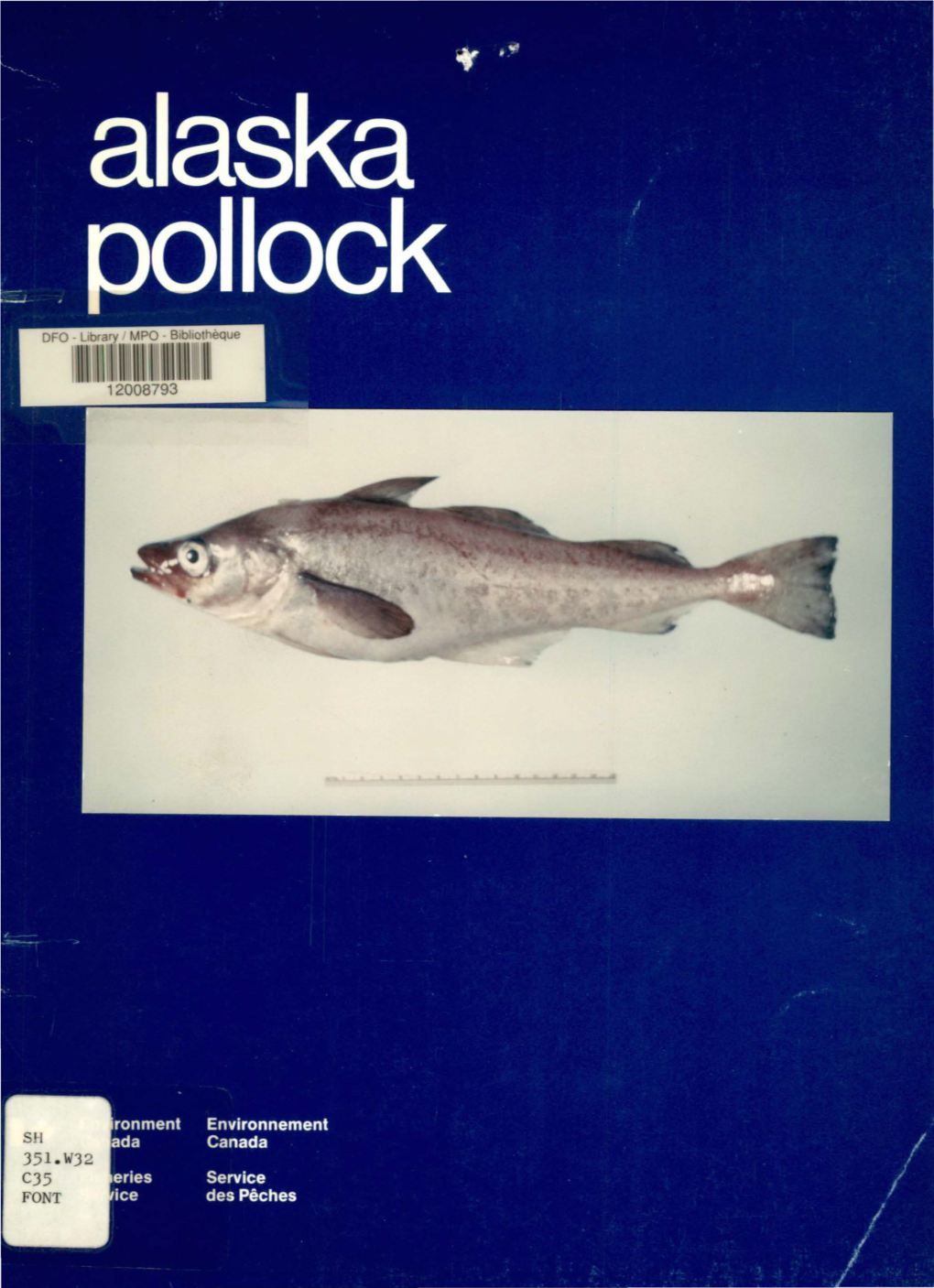 A Report on the Japanese Alaskan Pollock Industry