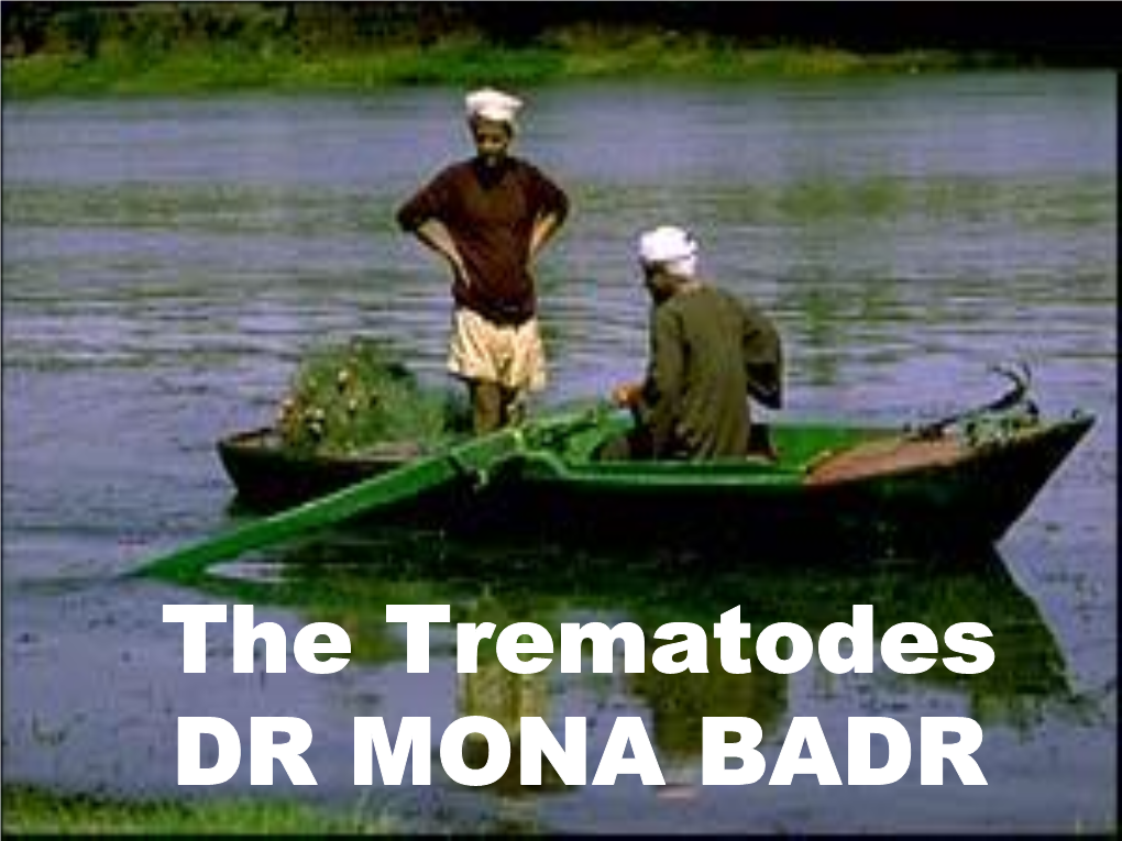 The Trematodes DR MONA BADR CLASSIFICATIONPROTOZOA of PARASITESHELMINTHS