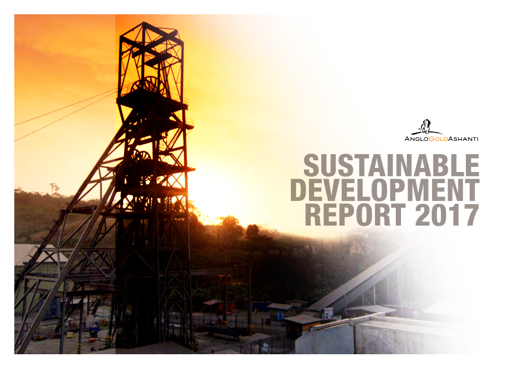 Sustainable Development Report 2017