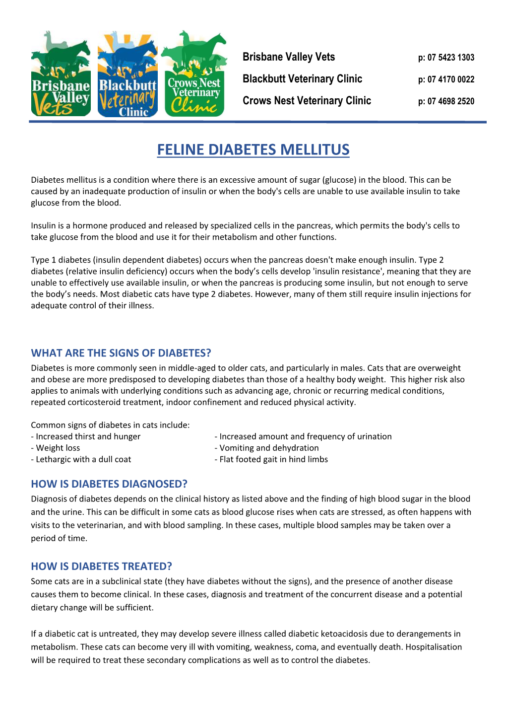 Feline Diabetes Mellitus