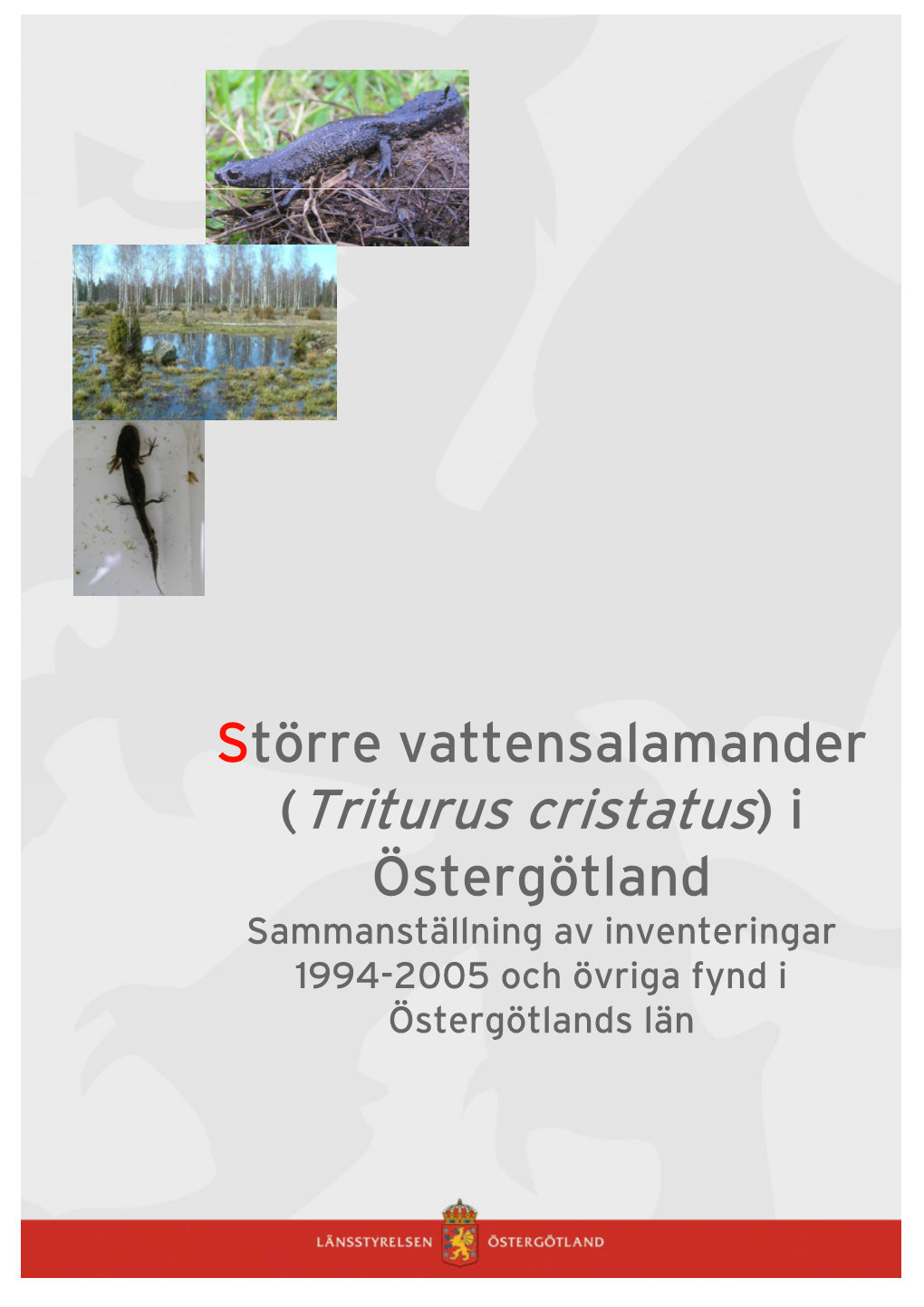 (Triturus Cristatus) I Örebro Län: Inventering 2003 Och Sammanställning Av Kända Lokaler 1989