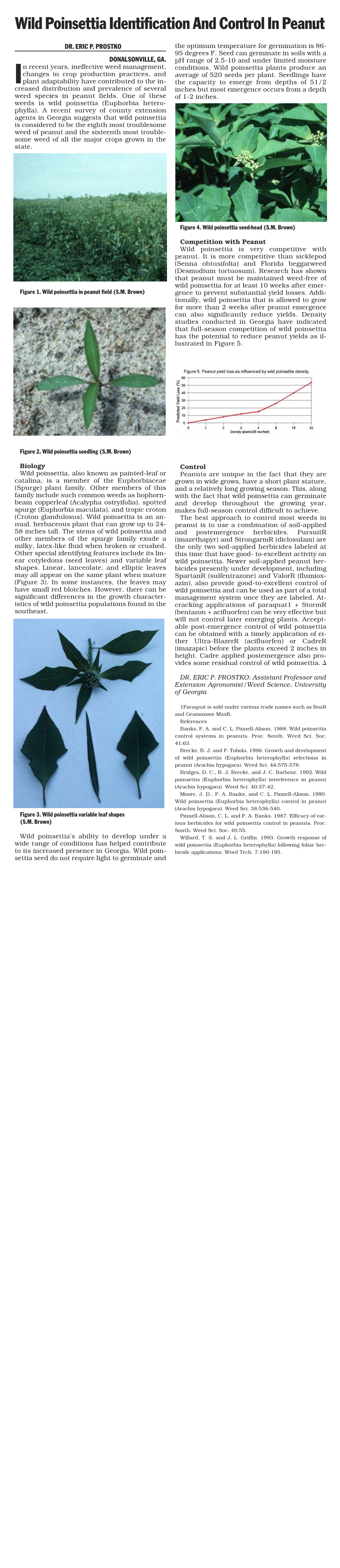 Wild Poinsettia Identification and Control in Peanut DR