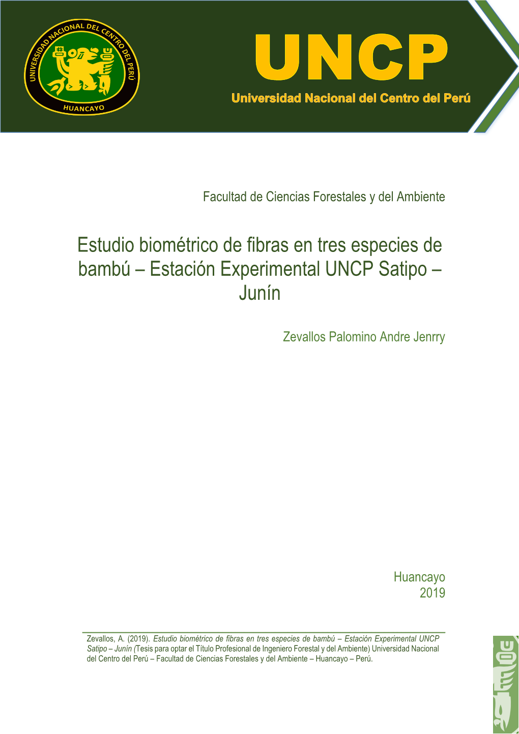 Estudio Biométrico De Fibras En Tres Especies De Bambú – Estación Experimental UNCP Satipo – Junín