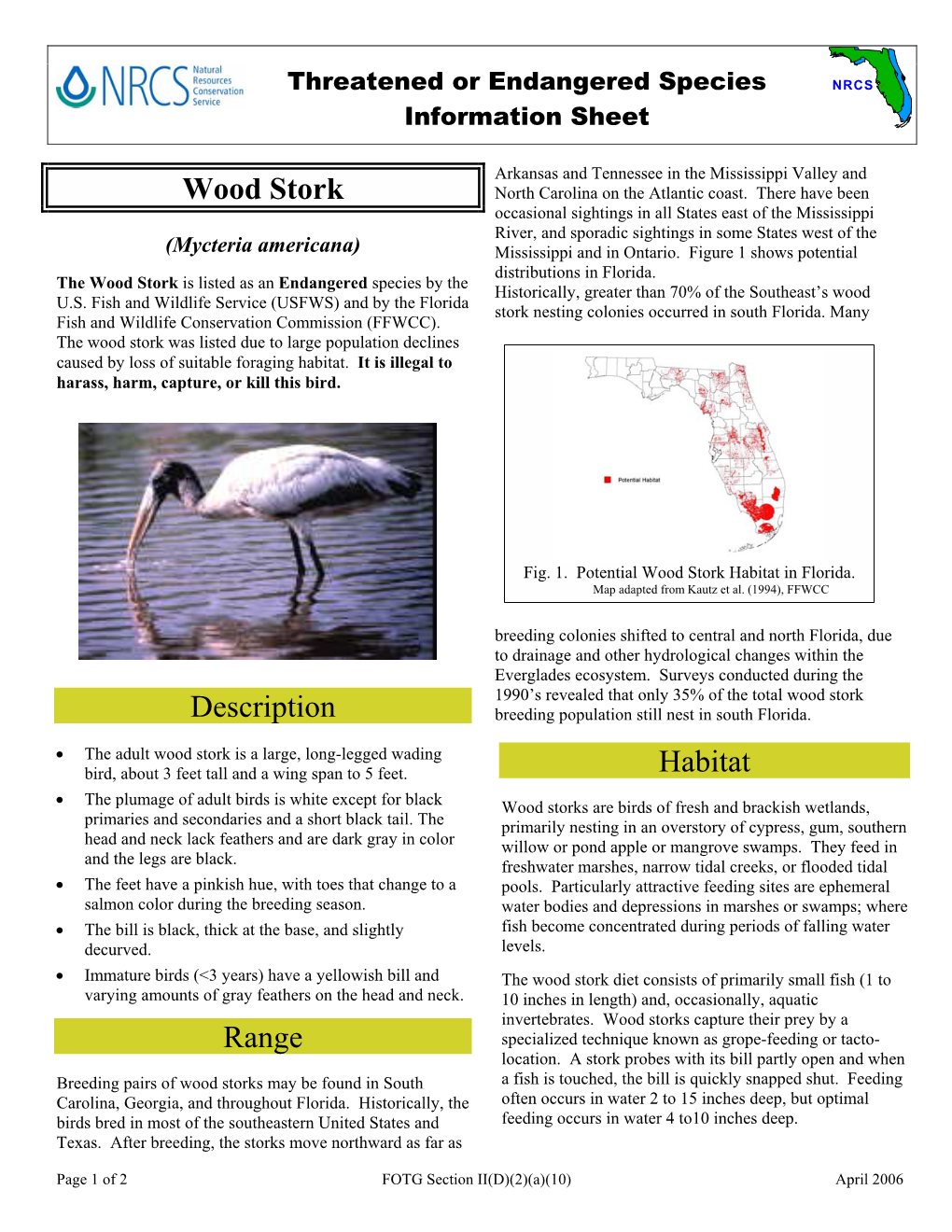 Wood Stork North Carolina on the Atlantic Coast