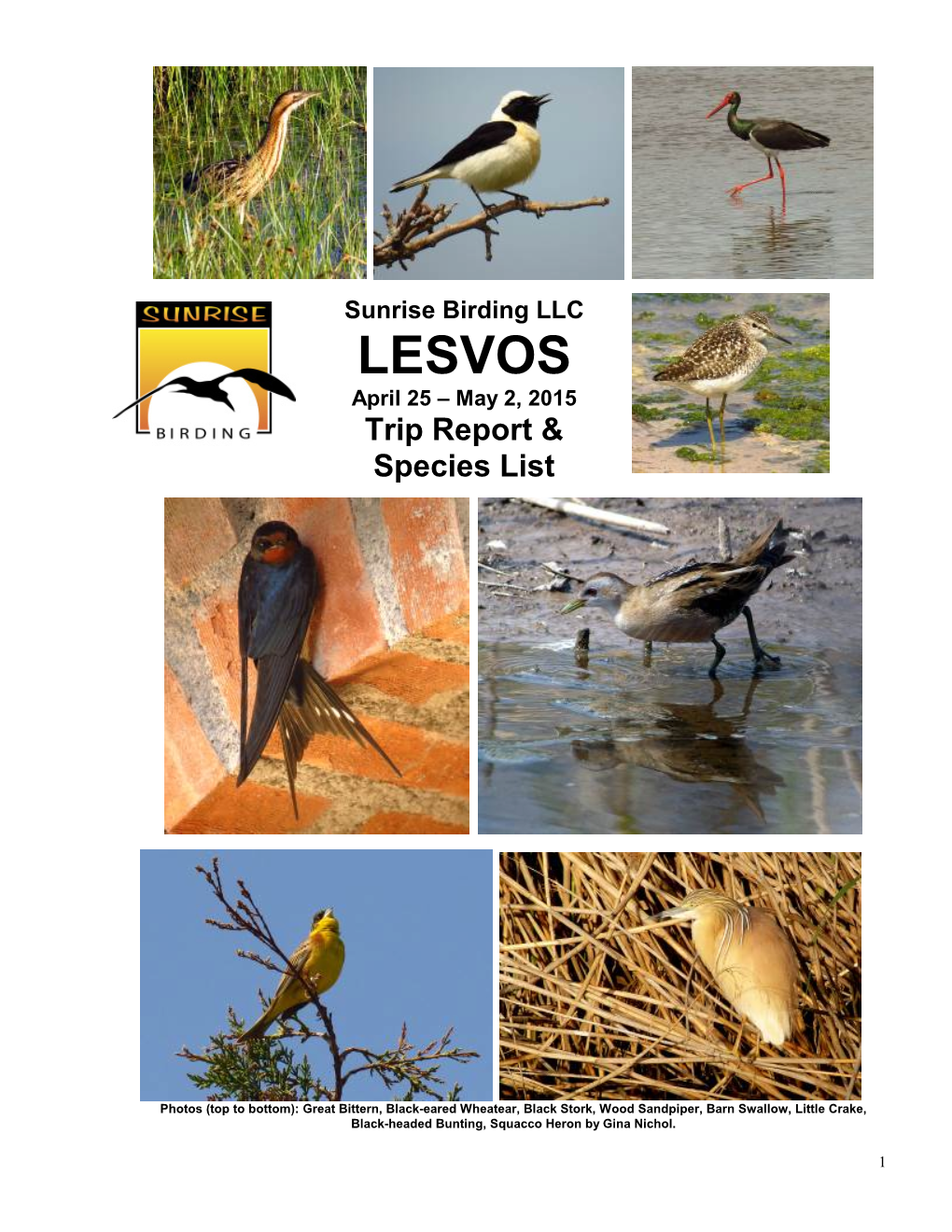 LESVOS April 25 – May 2, 2015 Trip Report &