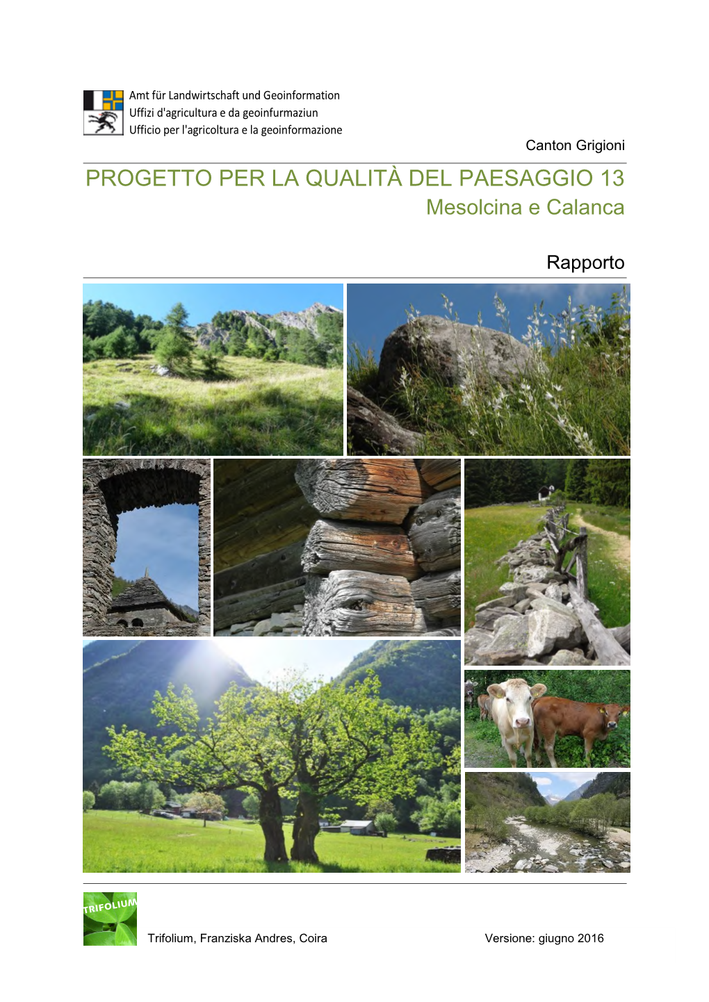 PROGETTO PER LA QUALITÀ DEL PAESAGGIO 13 Mesolcina E Calanca