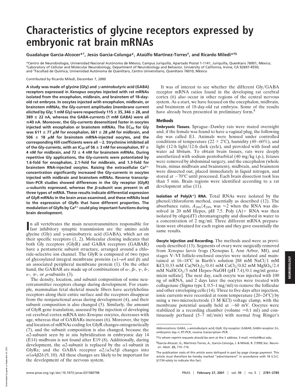 Characteristics of Glycine Receptors Expressed by Embryonic Rat Brain Mrnas