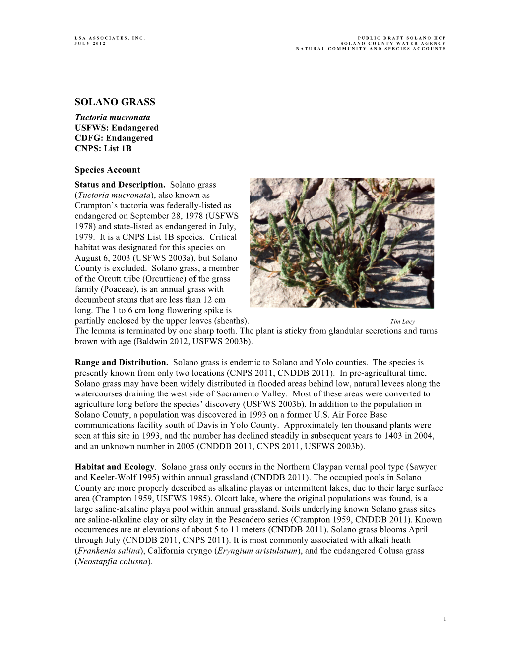 SOLANO GRASS Tuctoria Mucronata USFWS: Endangered CDFG: Endangered CNPS: List 1B