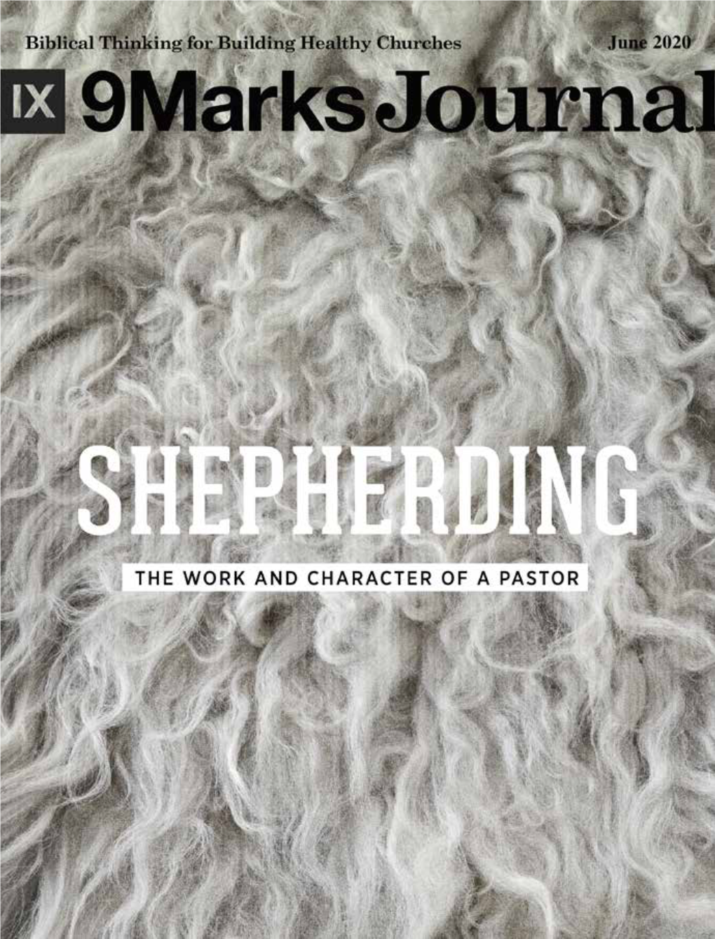 Shepherding – the Work and Character of a Pastor