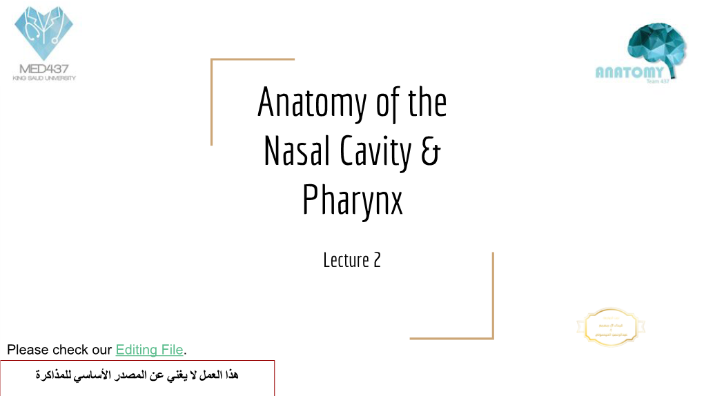 Anatomy of the Nasal Cavity & Pharynx