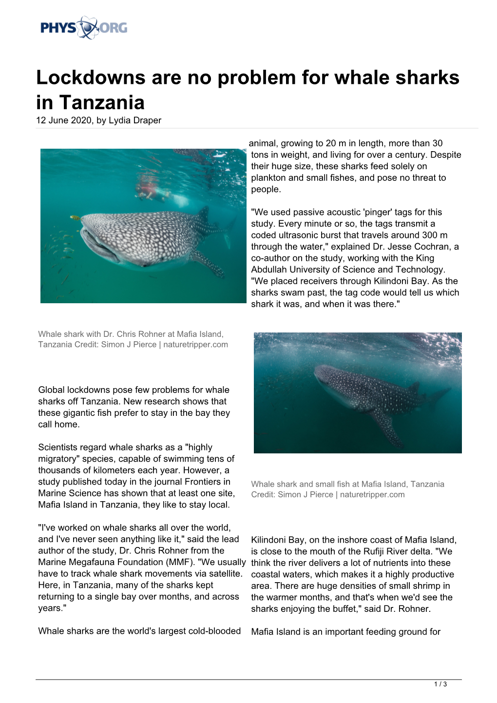 Lockdowns Are No Problem for Whale Sharks in Tanzania 12 June 2020, by Lydia Draper