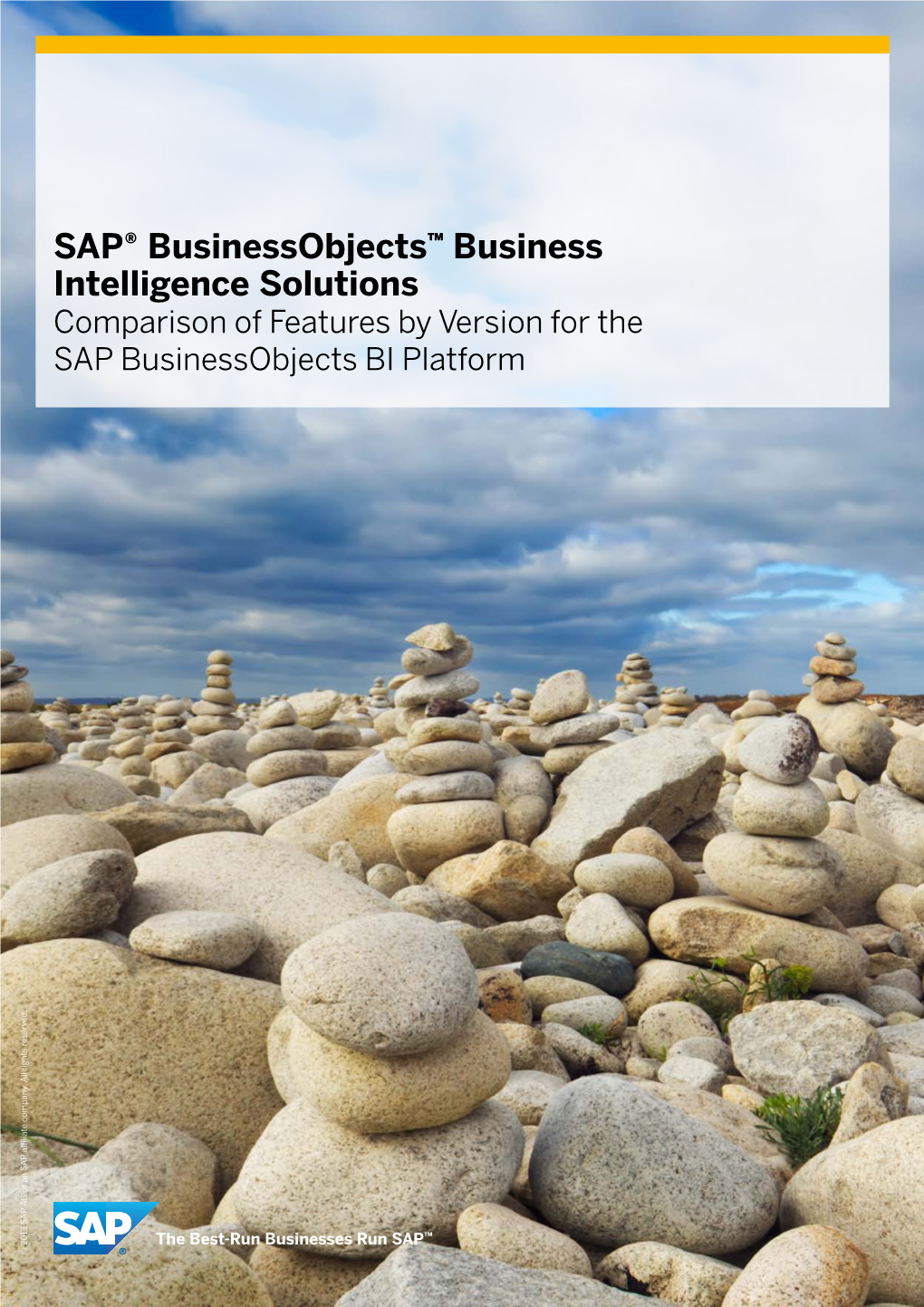 SAP® Businessobjects™ Business Intelligence Solutions