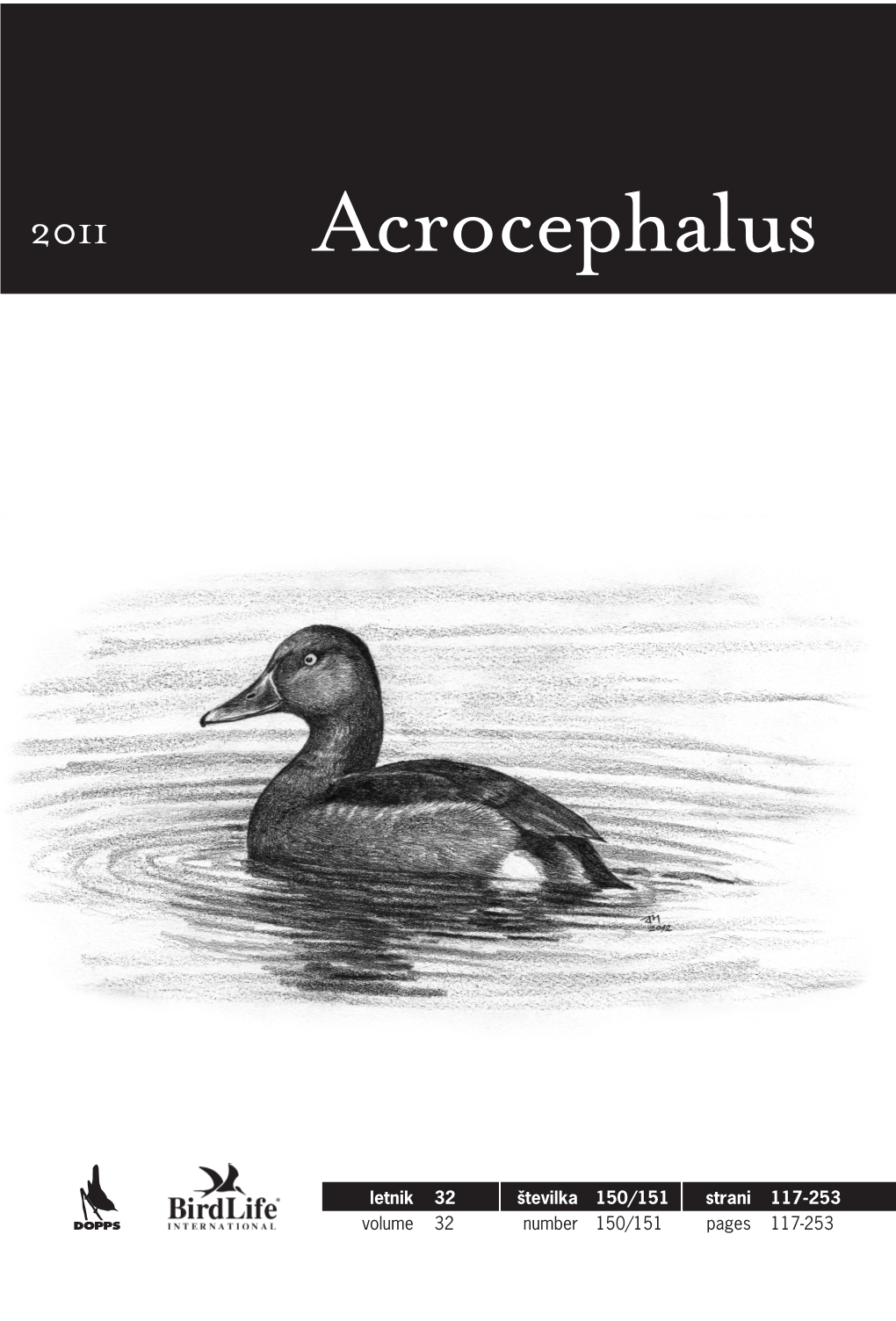 Acrocephalus