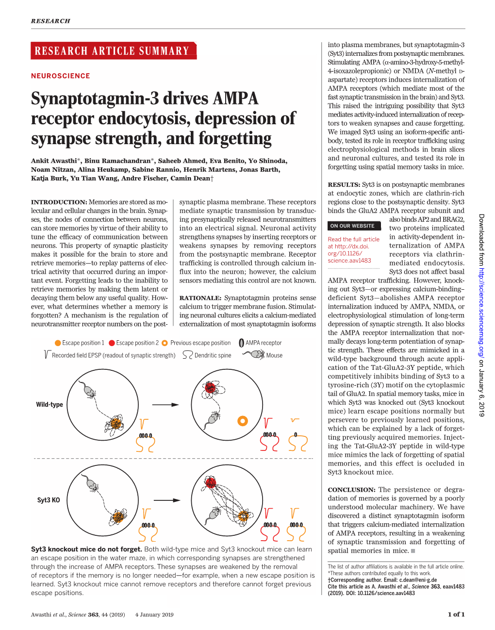 Synaptotagmin-3 Drives AMPA Receptor Endocytosis, Depression Of