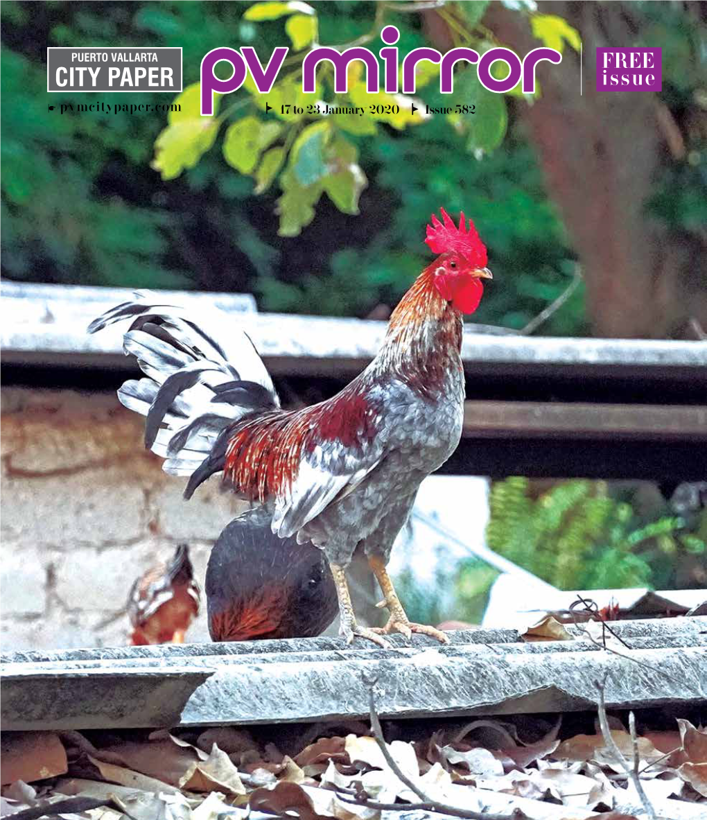 FREE Issue Pvmcitypaper.Com 17 to 23 January 2020 Issue 582 2