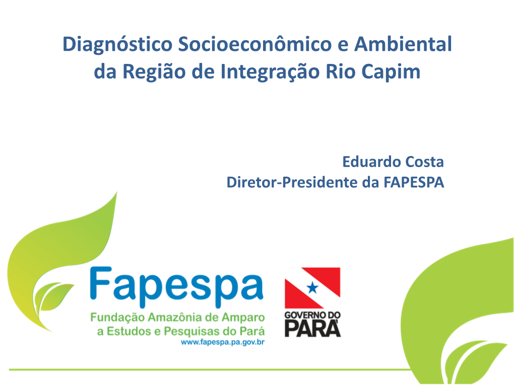 Diagnóstico Socioeconômico E Ambiental Da Região De Integração Rio Capim