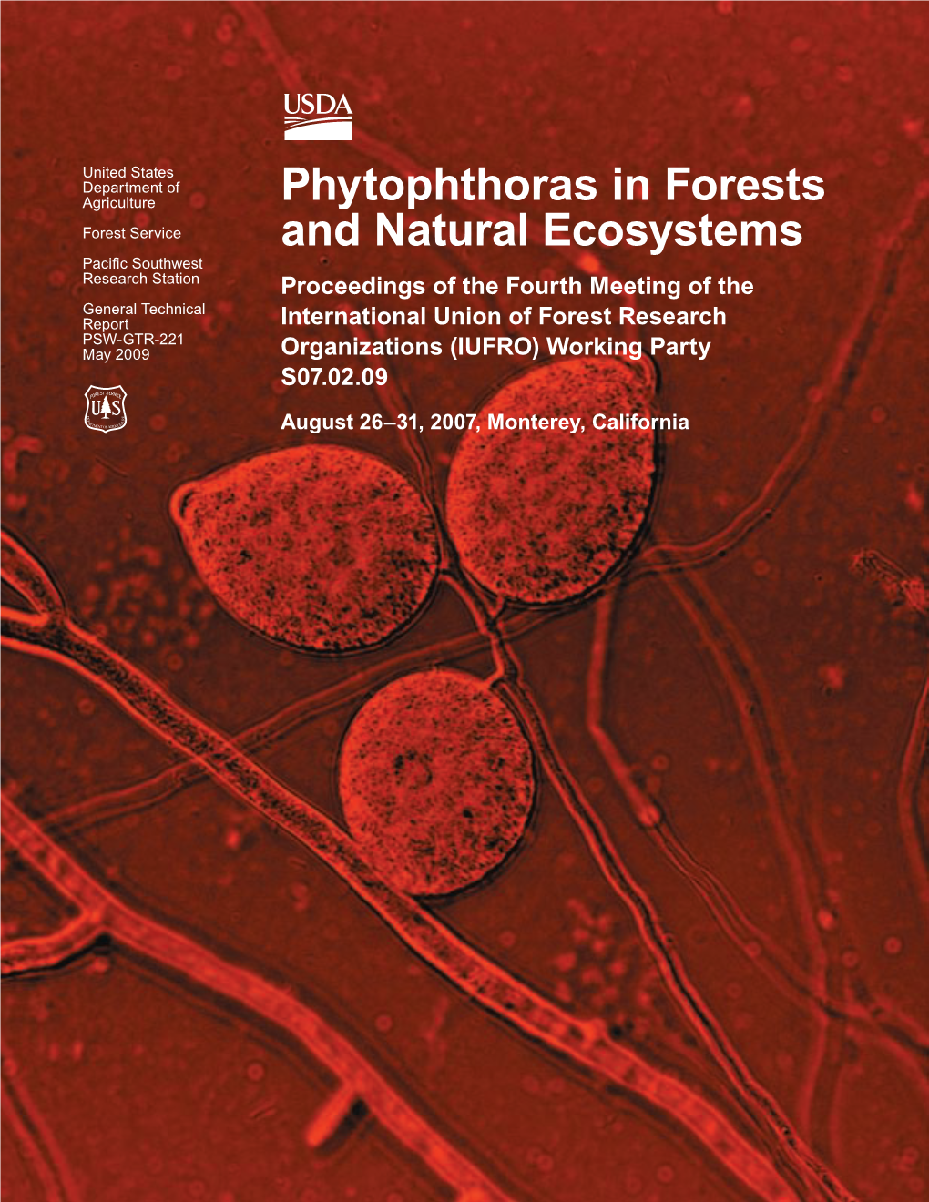 The Phytophthora Species Known As