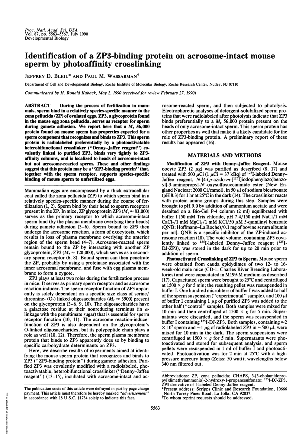 Identification of a ZP3-Binding Protein on Acrosome-Intact Mouse Sperm by Photoaffinity Crosslinking JEFFREY D