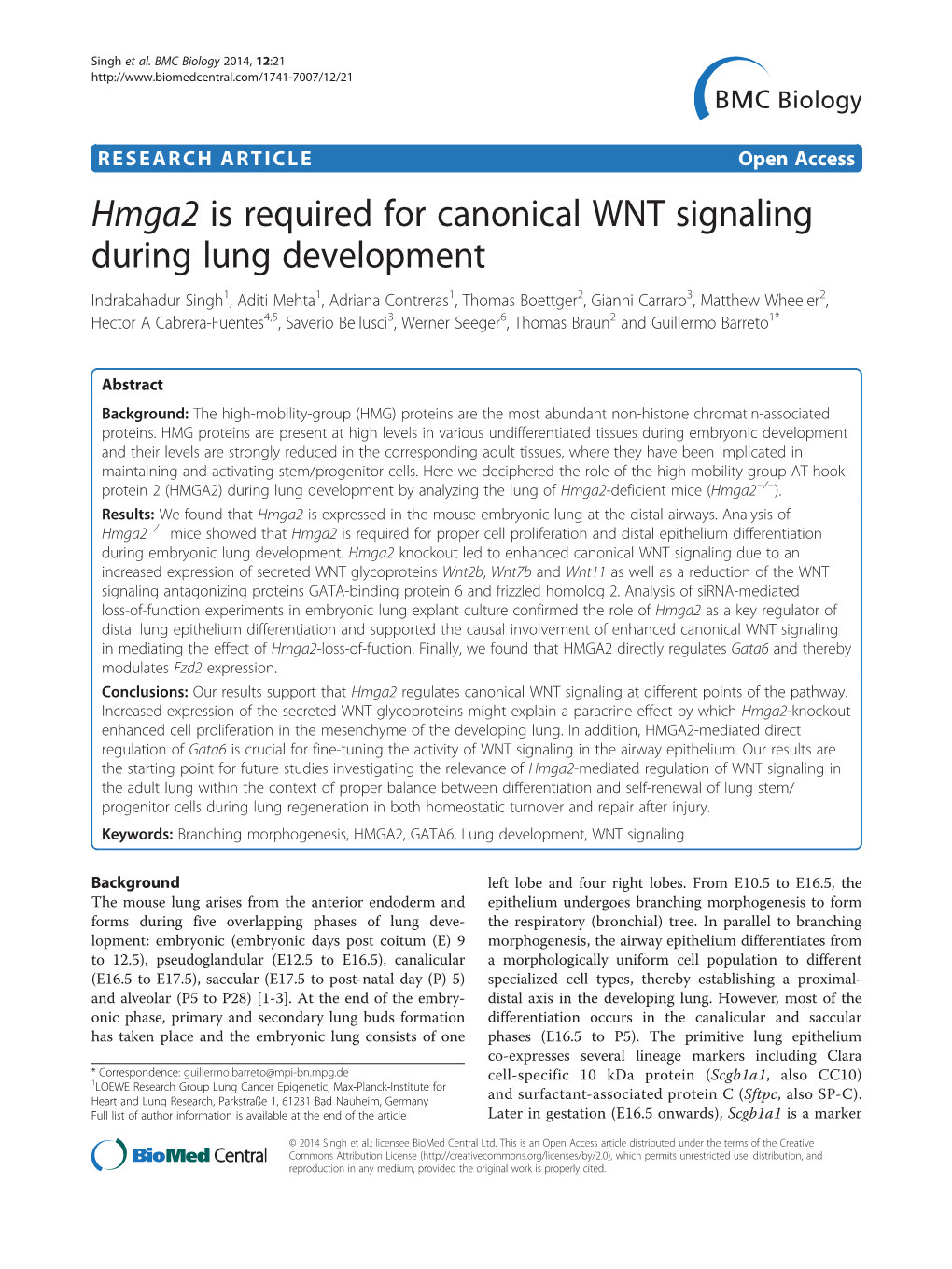 Hmga2 Is Required for Canonical WNT Signaling During Lung Development