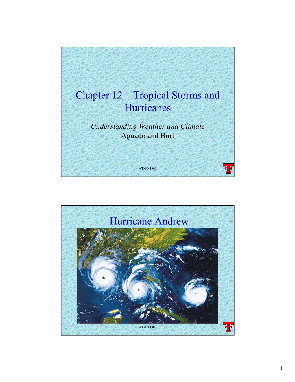 Chapter 12 – Tropical Storms and Hurricanes Hurricane Andrew