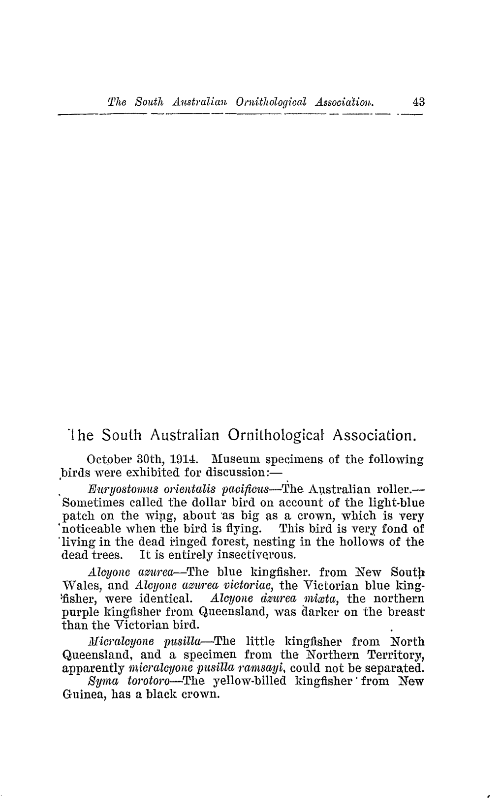 '1He South Australian Ornithological Association