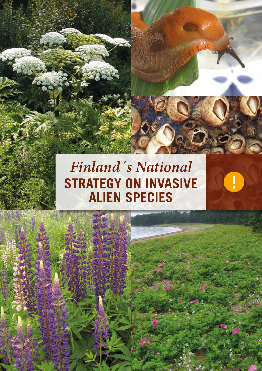 Government Resolution on Finland´S National Strategy on Invasive Alien Species I STRATEGY