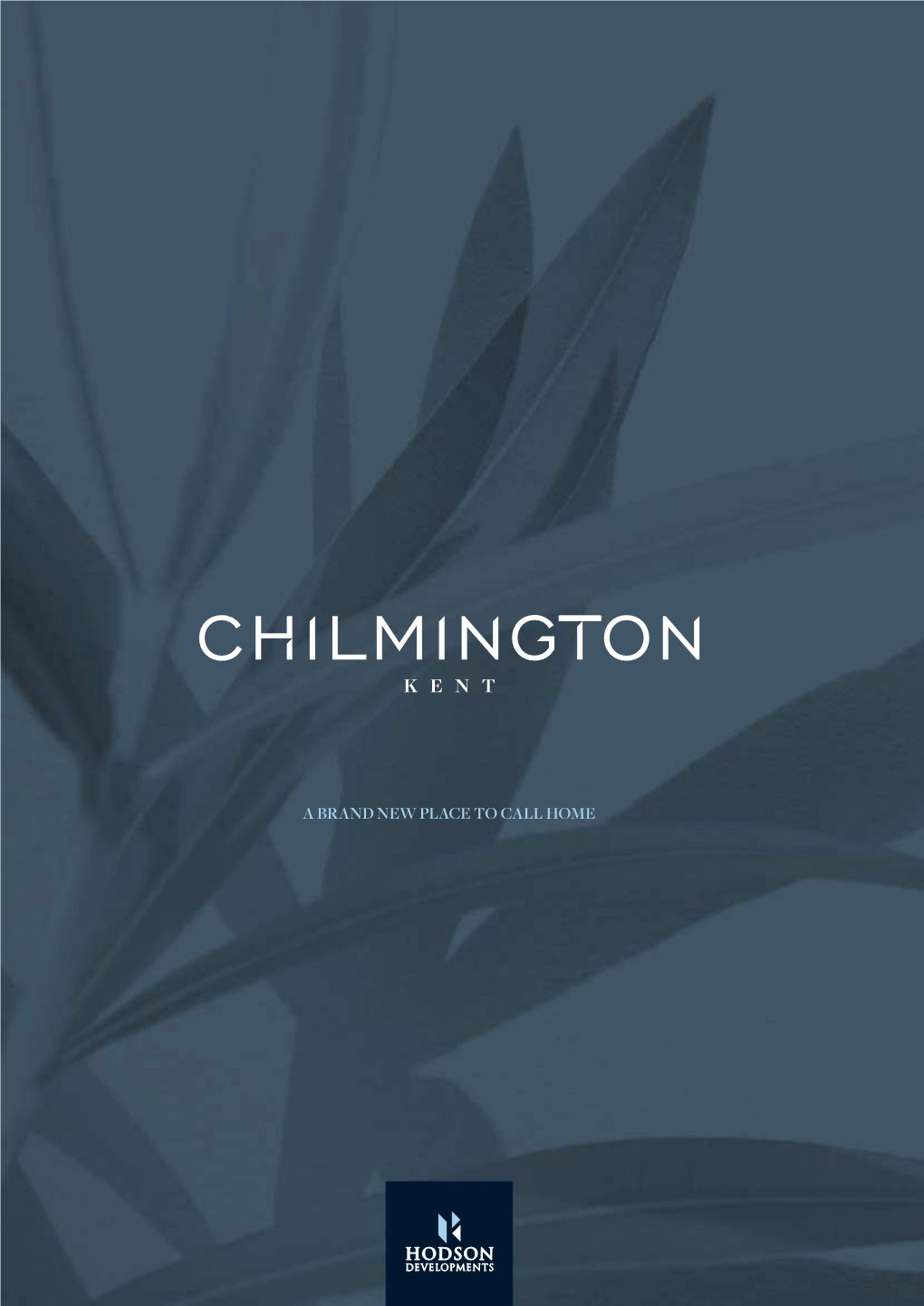 Education in Chilmington