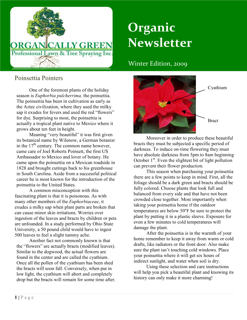 Winter Newsletter 2009