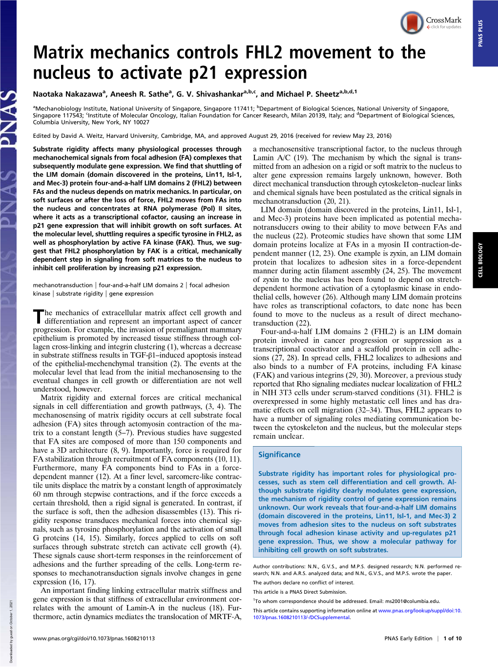 Matrix Mechanics Controls FHL2 Movement to the Nucleus to Activate