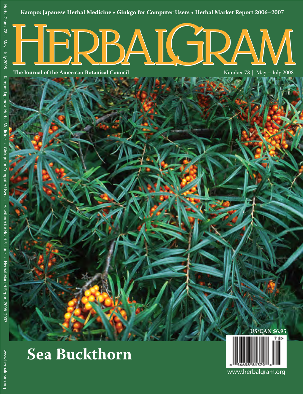 Sea Buckthorn