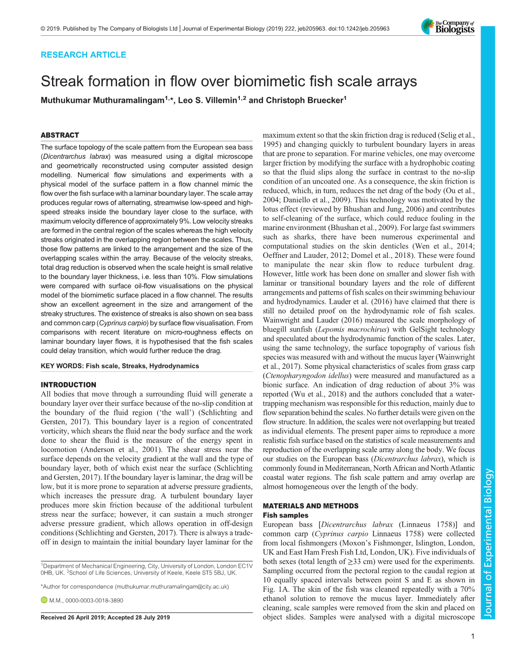 Streak Formation in Flow Over Biomimetic Fish Scale Arrays Muthukumar Muthuramalingam1,*, Leo S