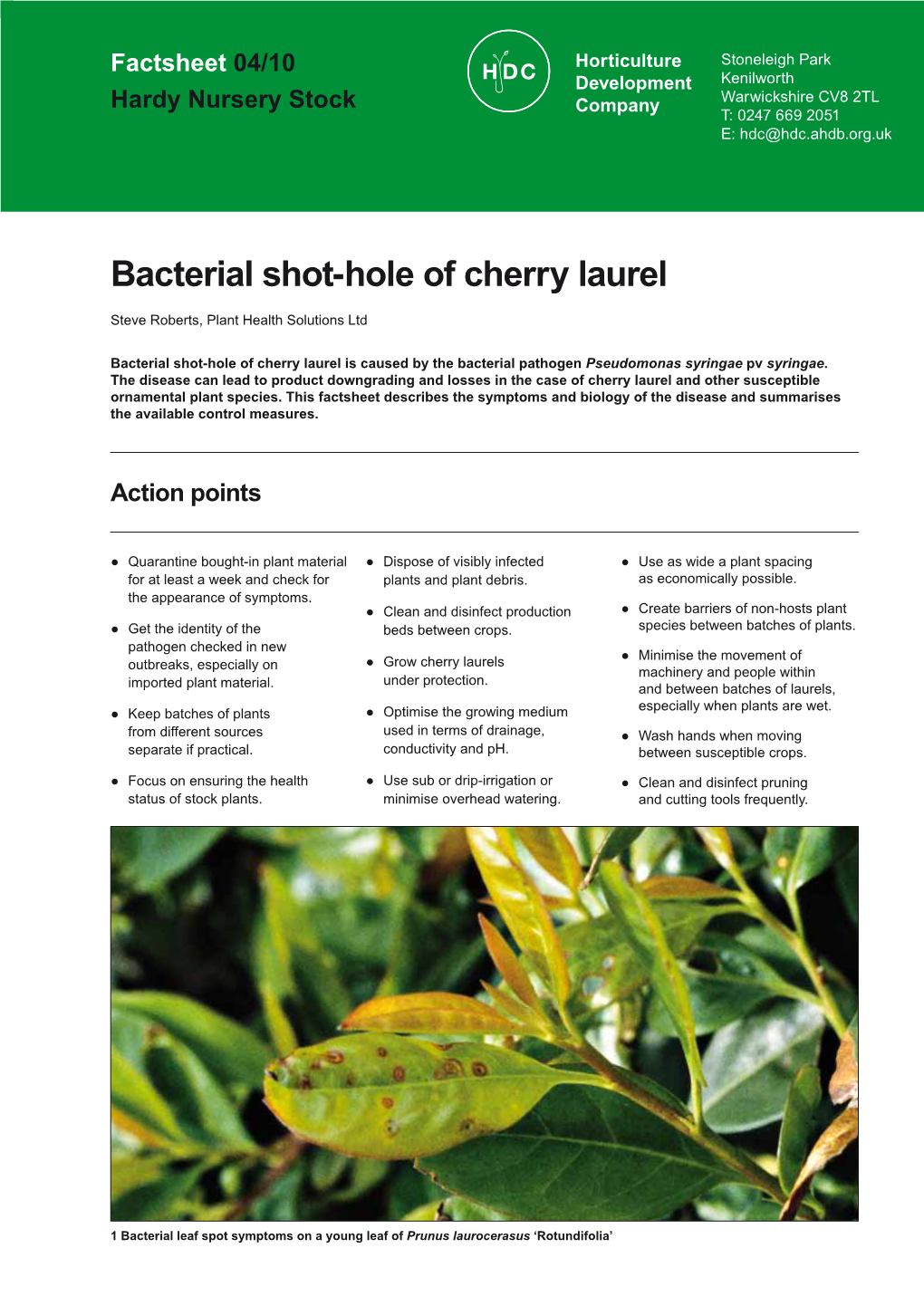 Bacterial Shot-Hole of Cherry Laurel. HDC Factsheet 04/10