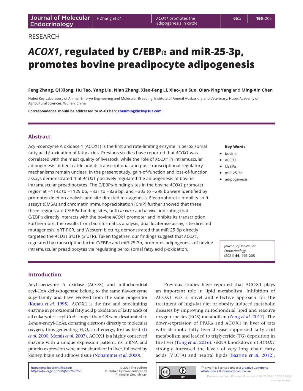 ACOX1, Regulated by C/Ebpα and Mir-25-3P, Promotes Bovine Preadipocyte Adipogenesis