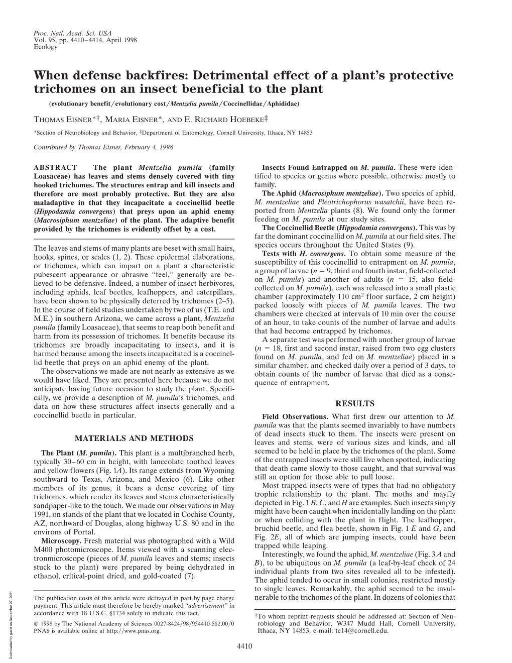 Detrimental Effect of a Plant's Protective Trichomes on An