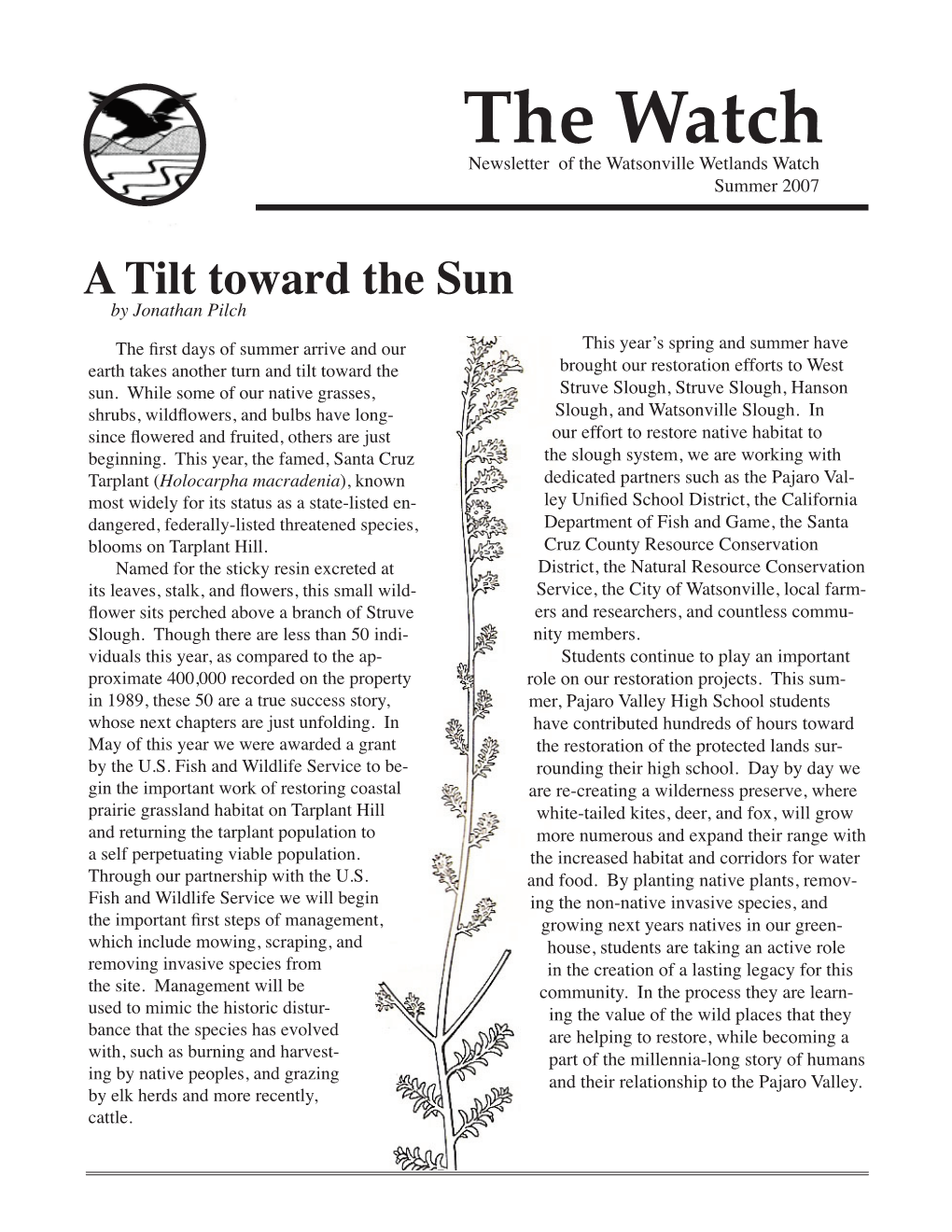 A Tilt Toward the Sun by Jonathan Pilch