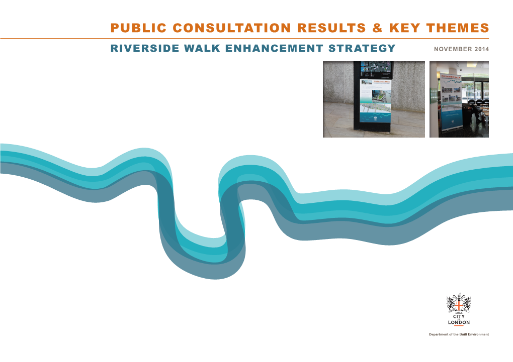 Public Consultation Results & Key Themes