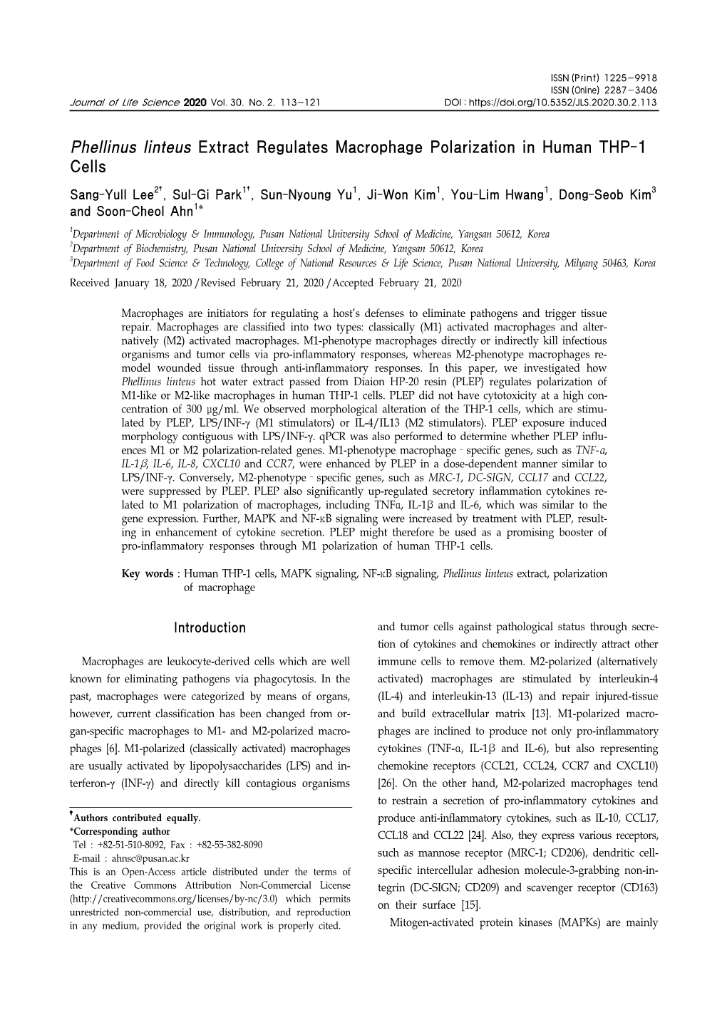 Phellinus Linteus Extract Regulates Macrophage Polarization in Human THP-1 Cells