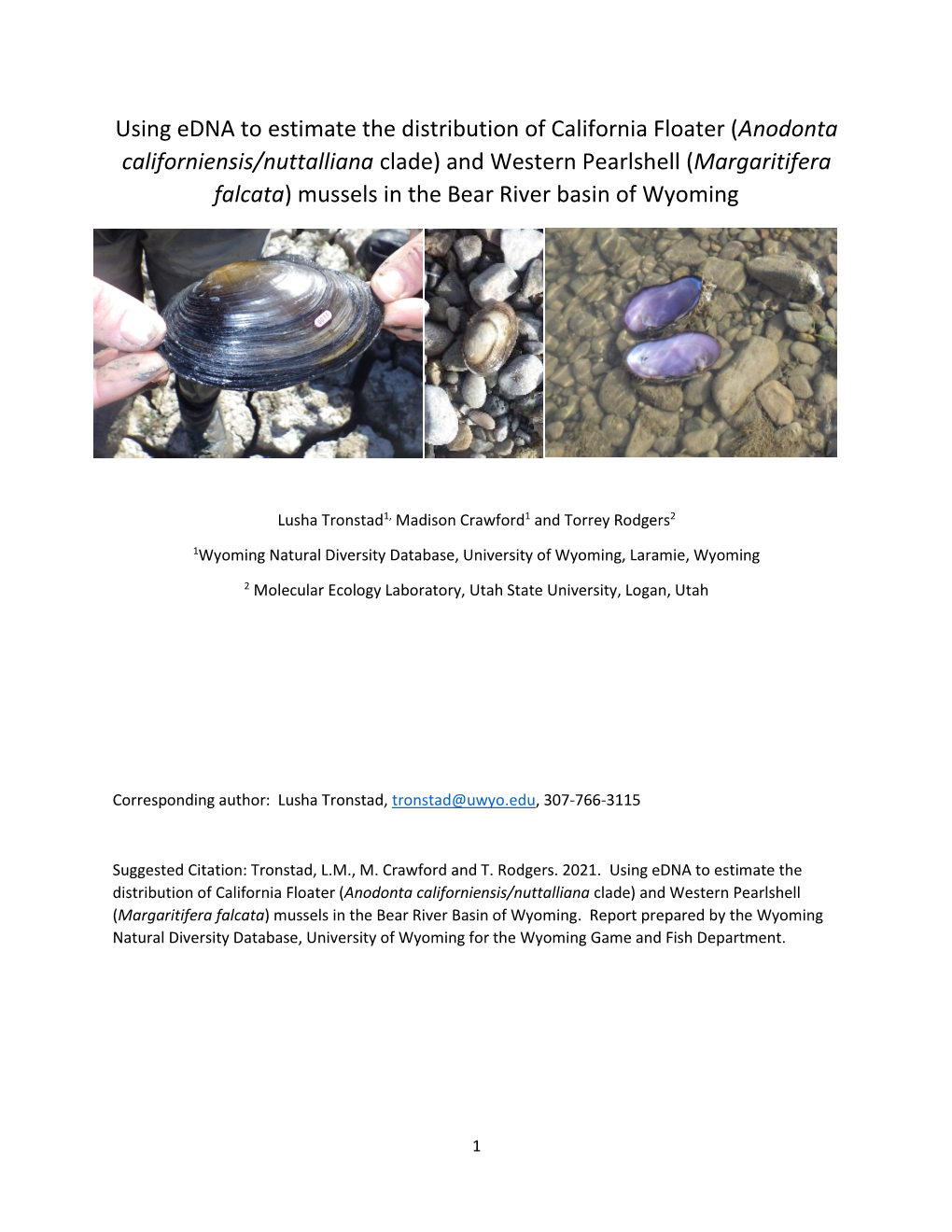Anodonta Californiensis/Nuttalliana Clade) and Western Pearlshell (Margaritifera Falcata) Mussels in the Bear River Basin of Wyoming