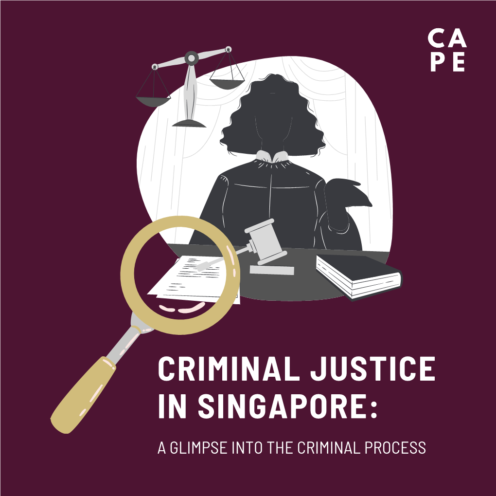 CAPE Criminal Justice