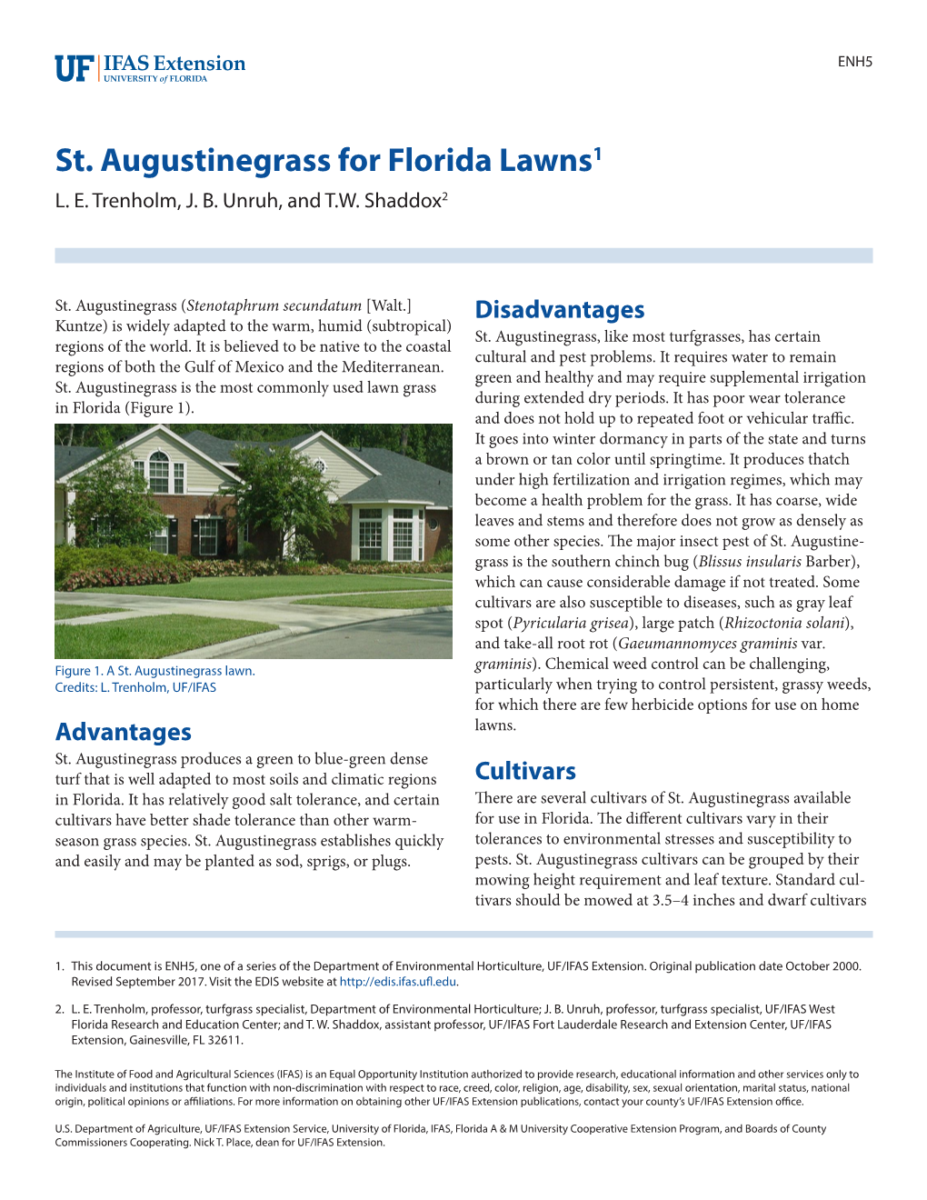 St. Augustinegrass for Florida Lawns1 L