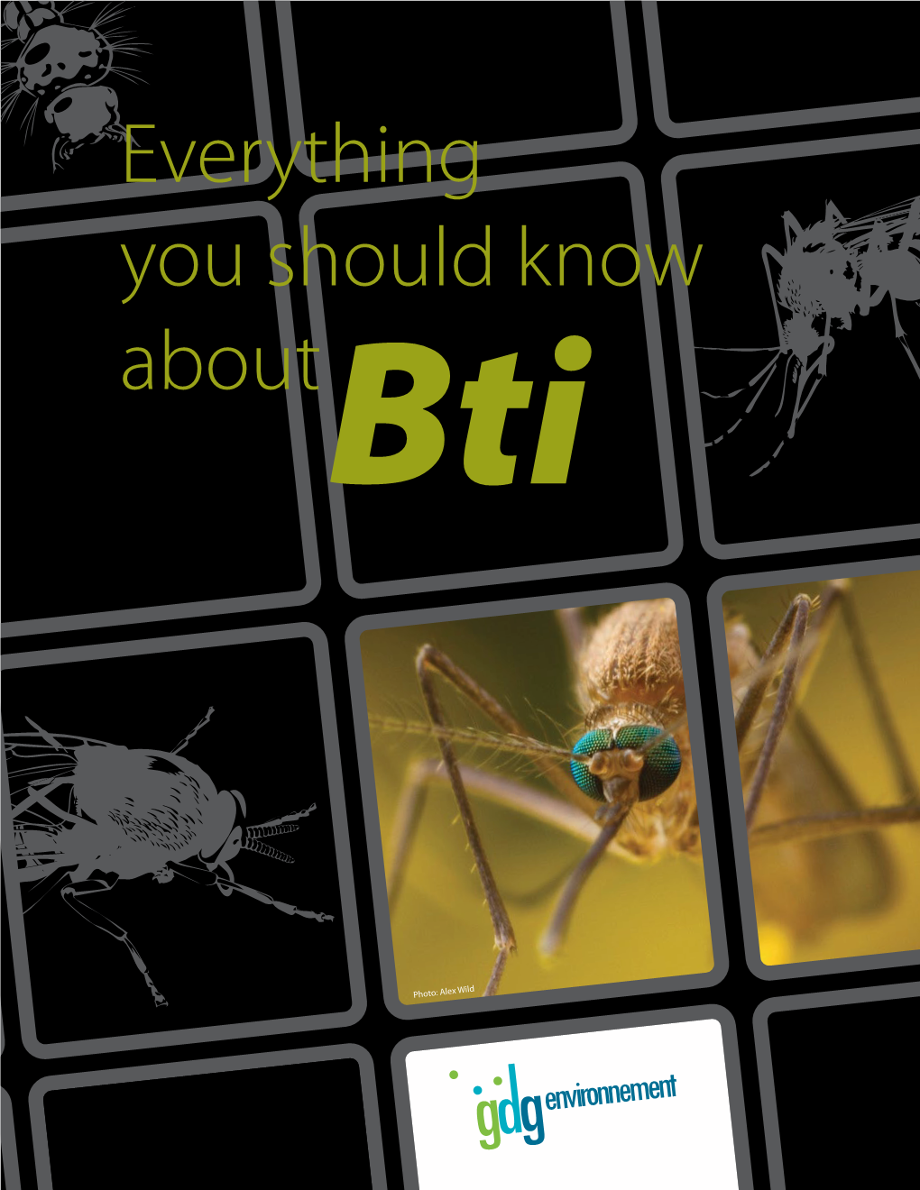 Everything You Should Know About Bti • the Biological Larvicide Used to Control Moquitoes and Biting Flies 3 Everything You Should Know Aboutbti