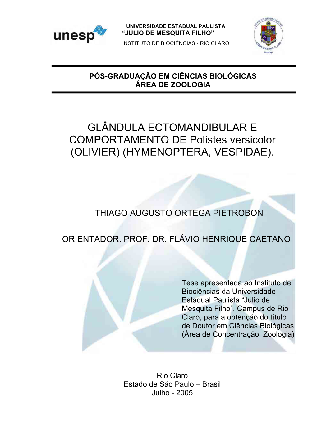 GLÂNDULA ECTOMANDIBULAR E COMPORTAMENTO DE Polistes Versicolor (OLIVIER) (HYMENOPTERA, VESPIDAE)