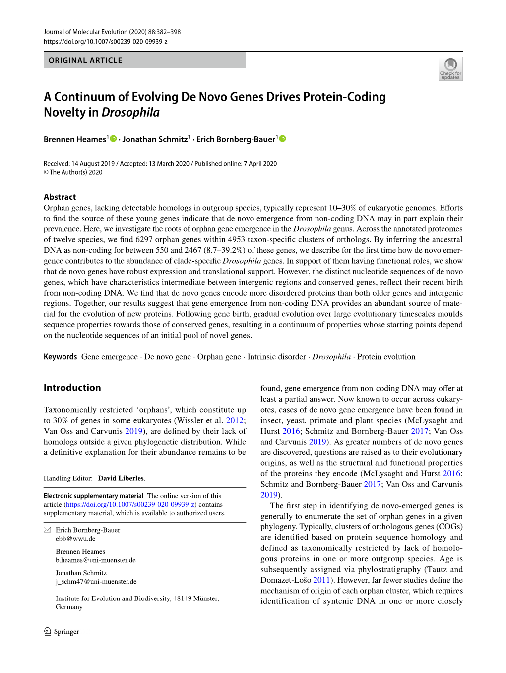 A Continuum of Evolving De Novo Genes Drives Protein-Coding